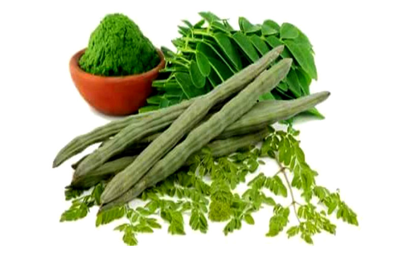 moringa
