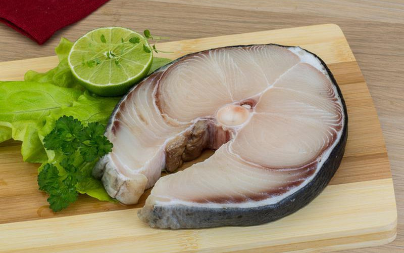 shark meat